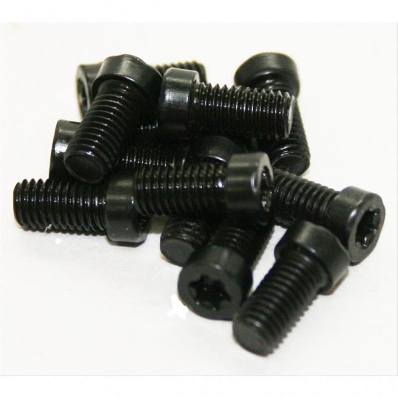 WEAVER BASE SCREWS 8-40 Torx screws (12)
